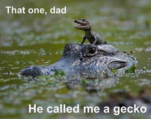 Этого, папа! Он назвал меня гекконом!