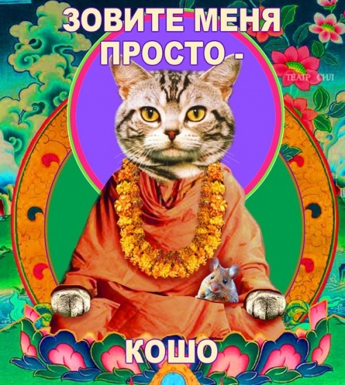 кошо