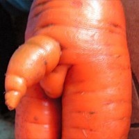 Порнографическая морковь