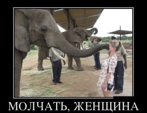 Лучше не злить спокойного слона:)