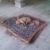 Собака медитирует на пепелище :))) Наверное святое место :)